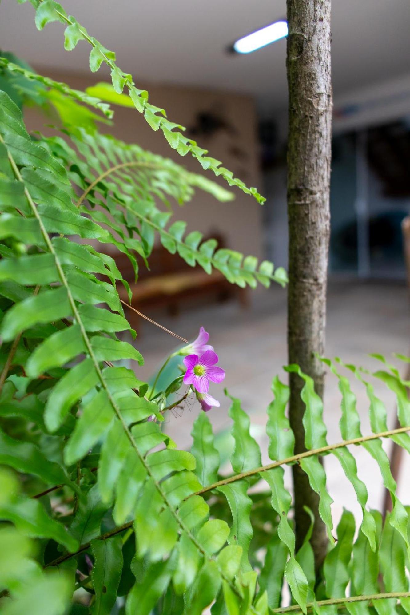 Suites Margarida Ubatuba Bagian luar foto